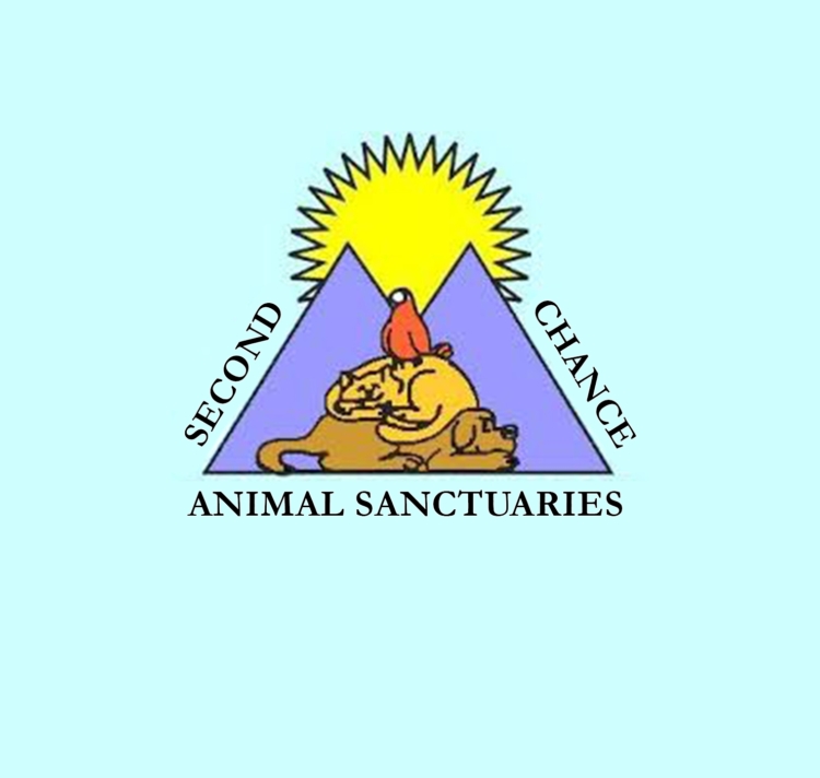 Second Chance Animal Sanctuaries - Southern Tier Tuesdays